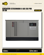 Generador Estacionario a Gas 30 kW — EGX PRO · hero_001