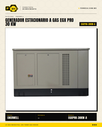 Generador Estacionario a Gas 30 kW — EGX PRO · sec_001