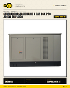 Generador Estacionario a Gas 30 kW — EGX PRO, Trifásico · sec_001