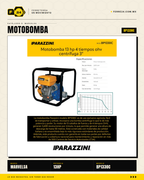 Parazzini BP1330C — motor 13HP 4T OHV