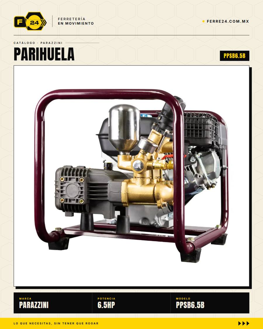 Aspersora Motorizada Parazzini 6.5 HP — Bomba Membrana para Herbicidas y Fungicidas · sec_003