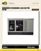Generador Estacionario a Gas 30 kW — EGX PRO · sec_003