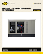 Generador Estacionario a Gas 30 kW — EGX PRO, Trifásico · sec_003
