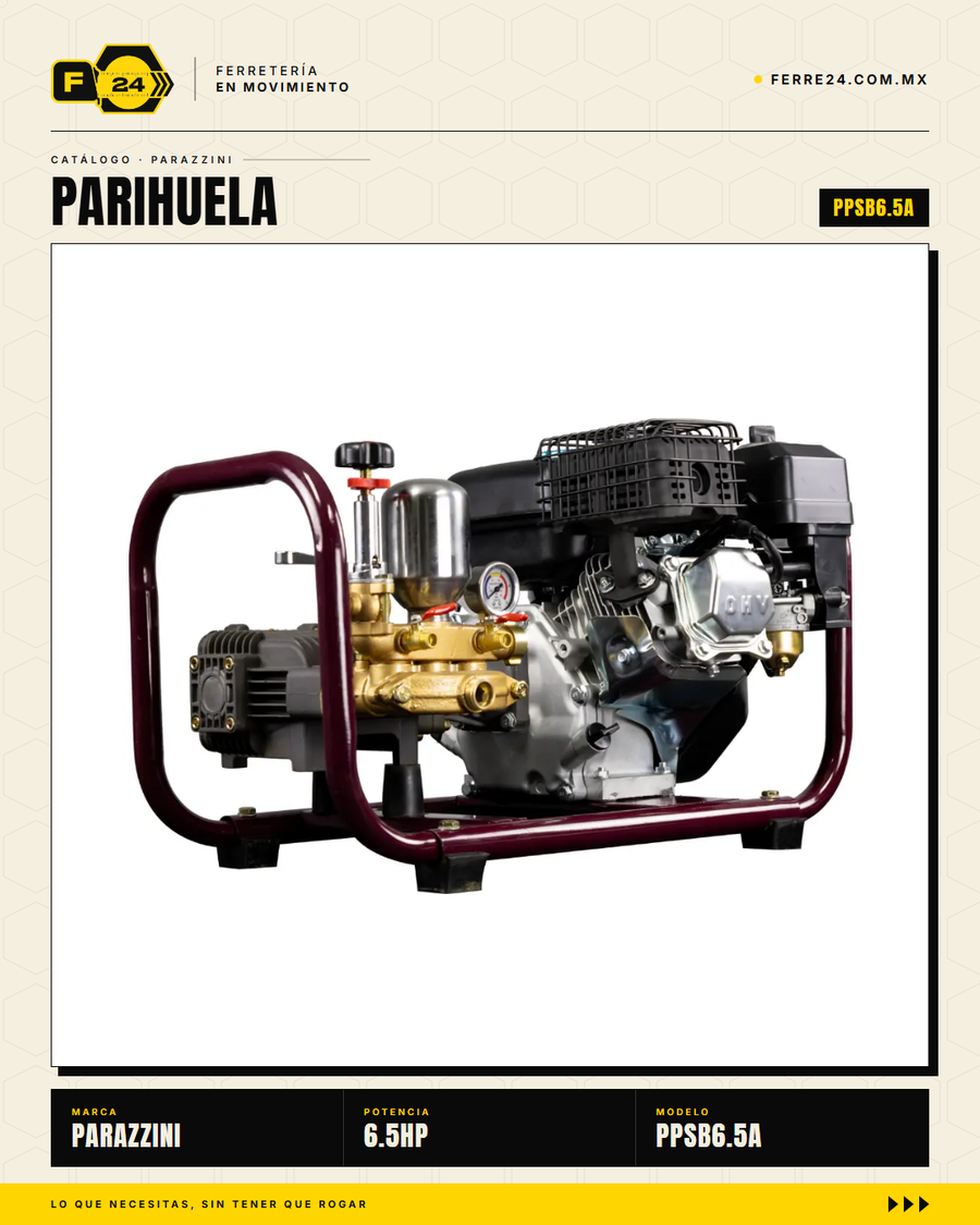 Aspersora Motorizada 6.5 HP Transmisión Directa — Parazzini PPSB6.5A · secundaria_002