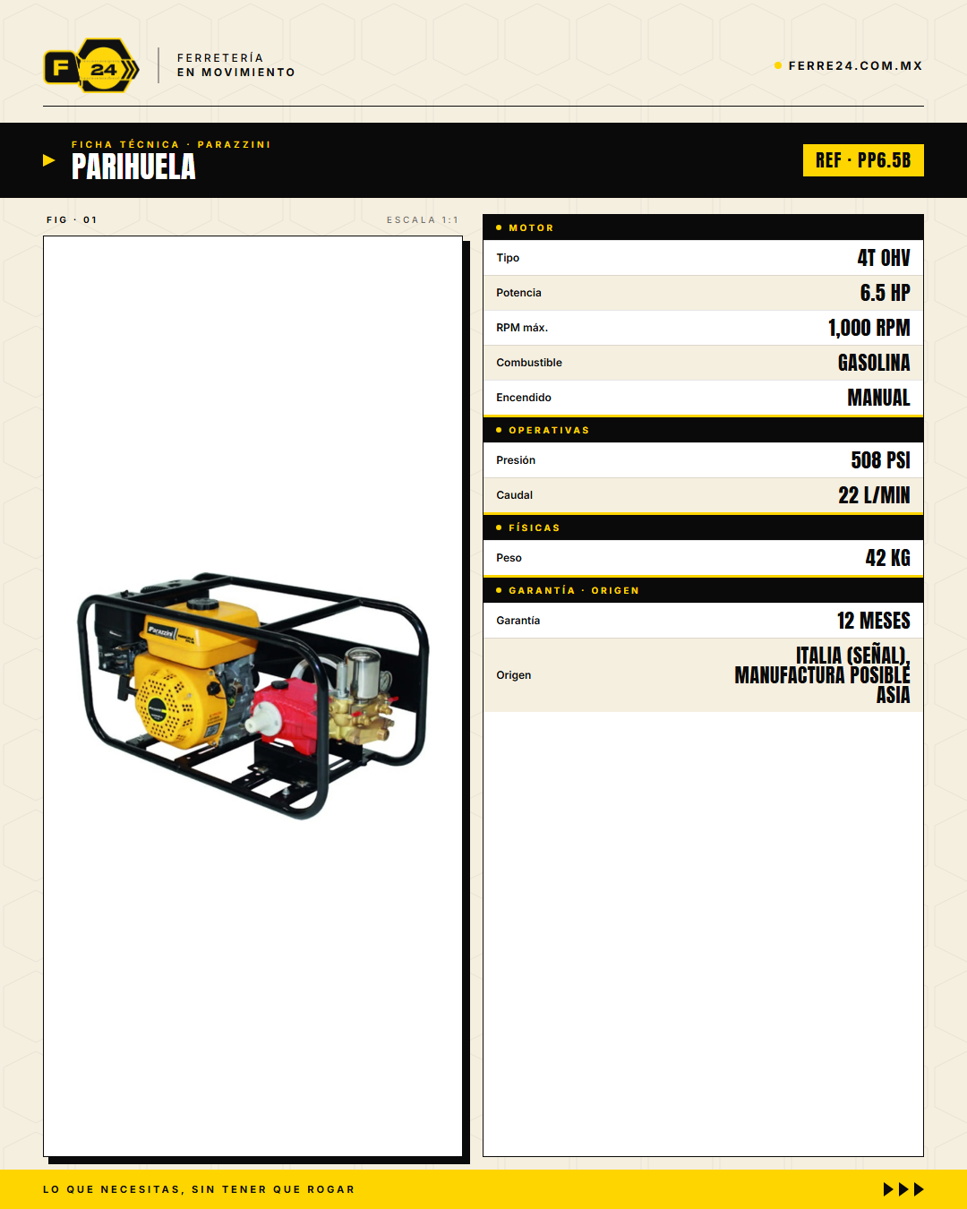 Parihuela Parazzini 6.5 HP — Bomba Bronce 508 PSI · specs